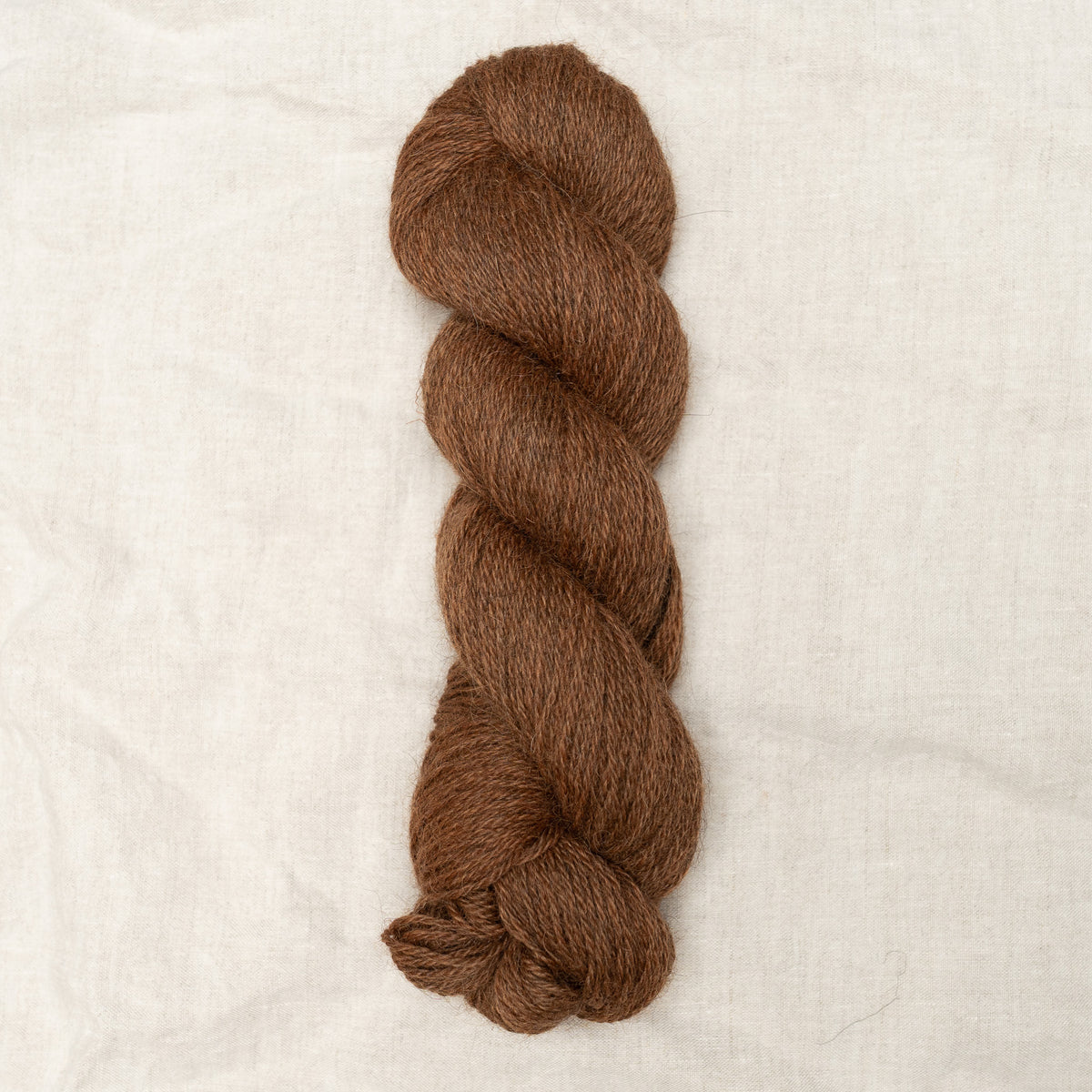 Shore DK - Hazel