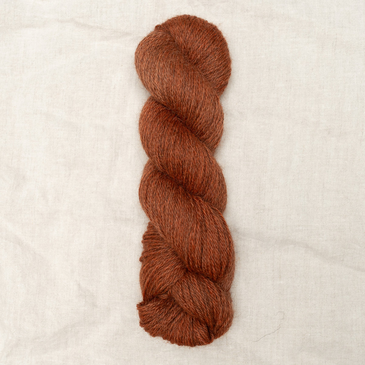 Shore DK - Pumpkin