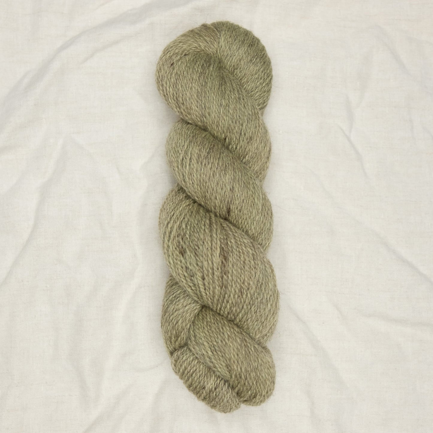 Solace Sport - Reed