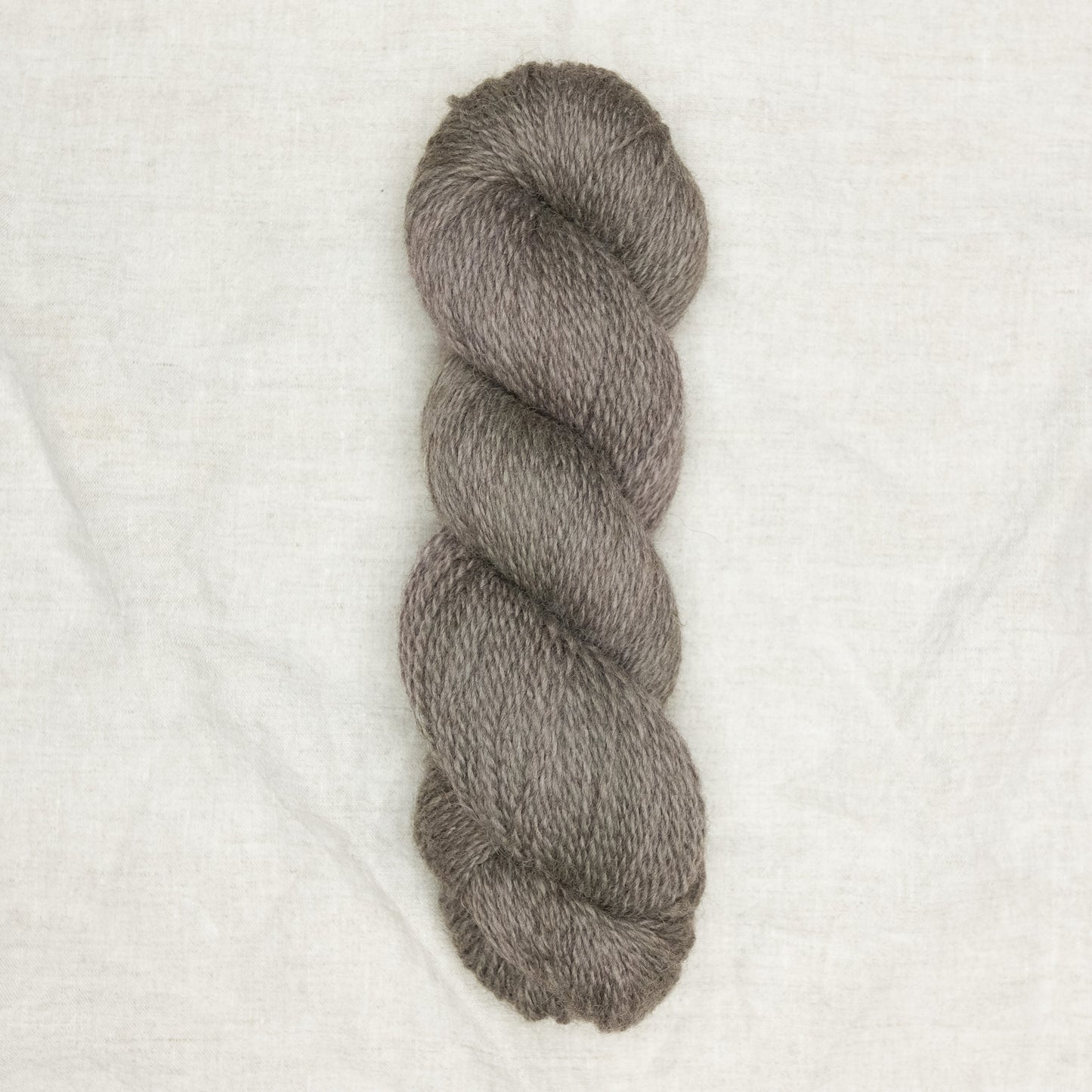 BFL/Romney DK - Thistle