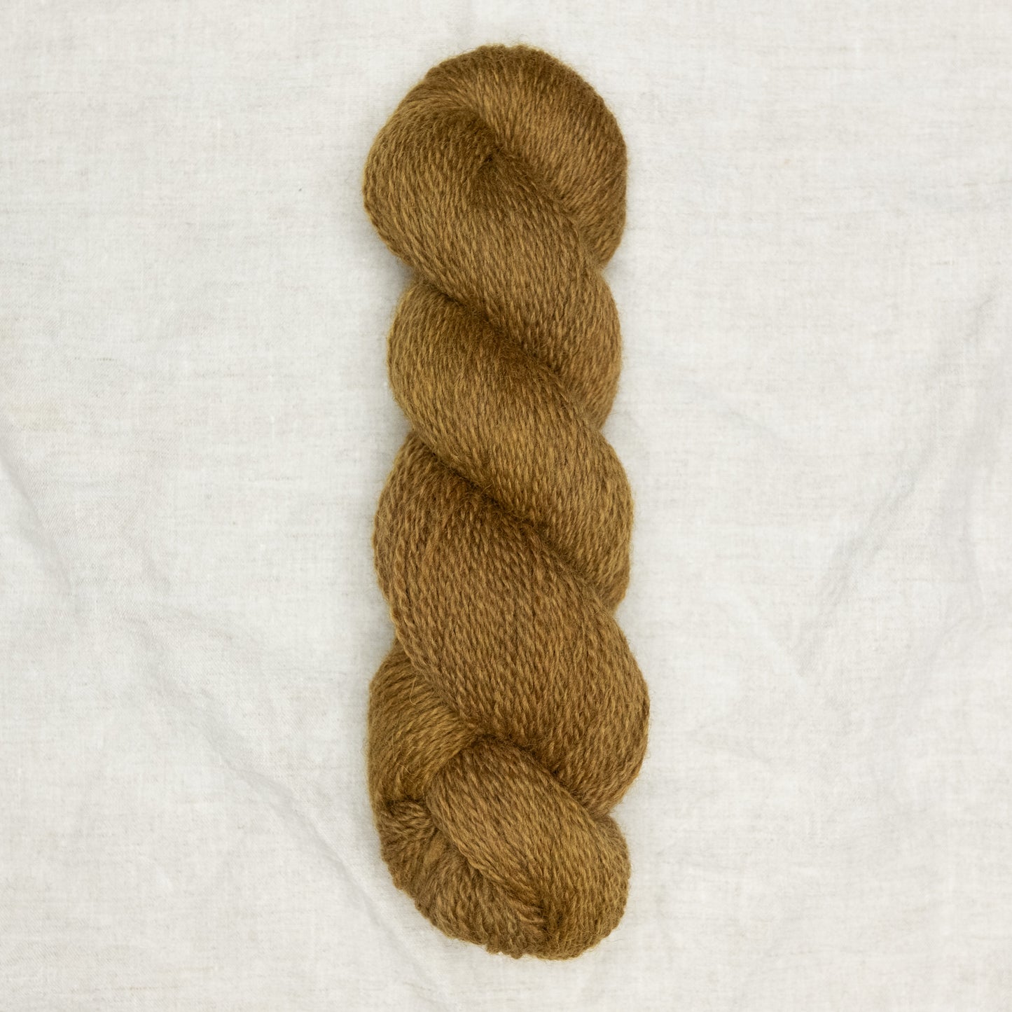 BFL/Romney DK - Brass