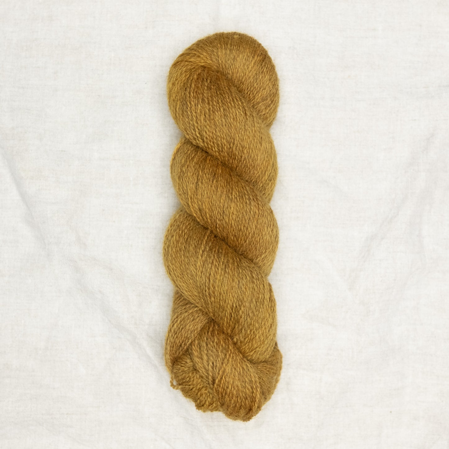 BFL/Romney 4ply - Goldenrod