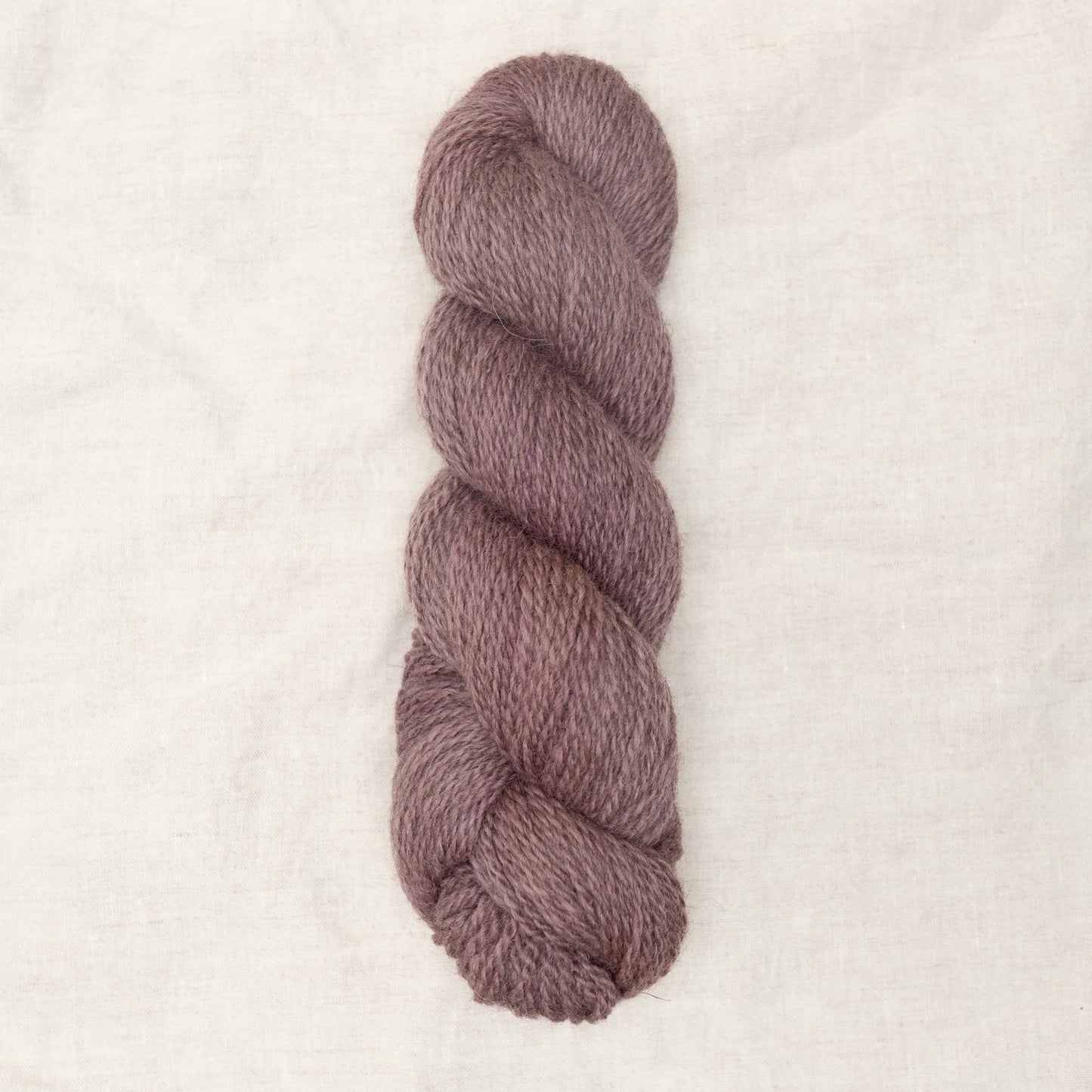 BFL/Romney DK - Lilac
