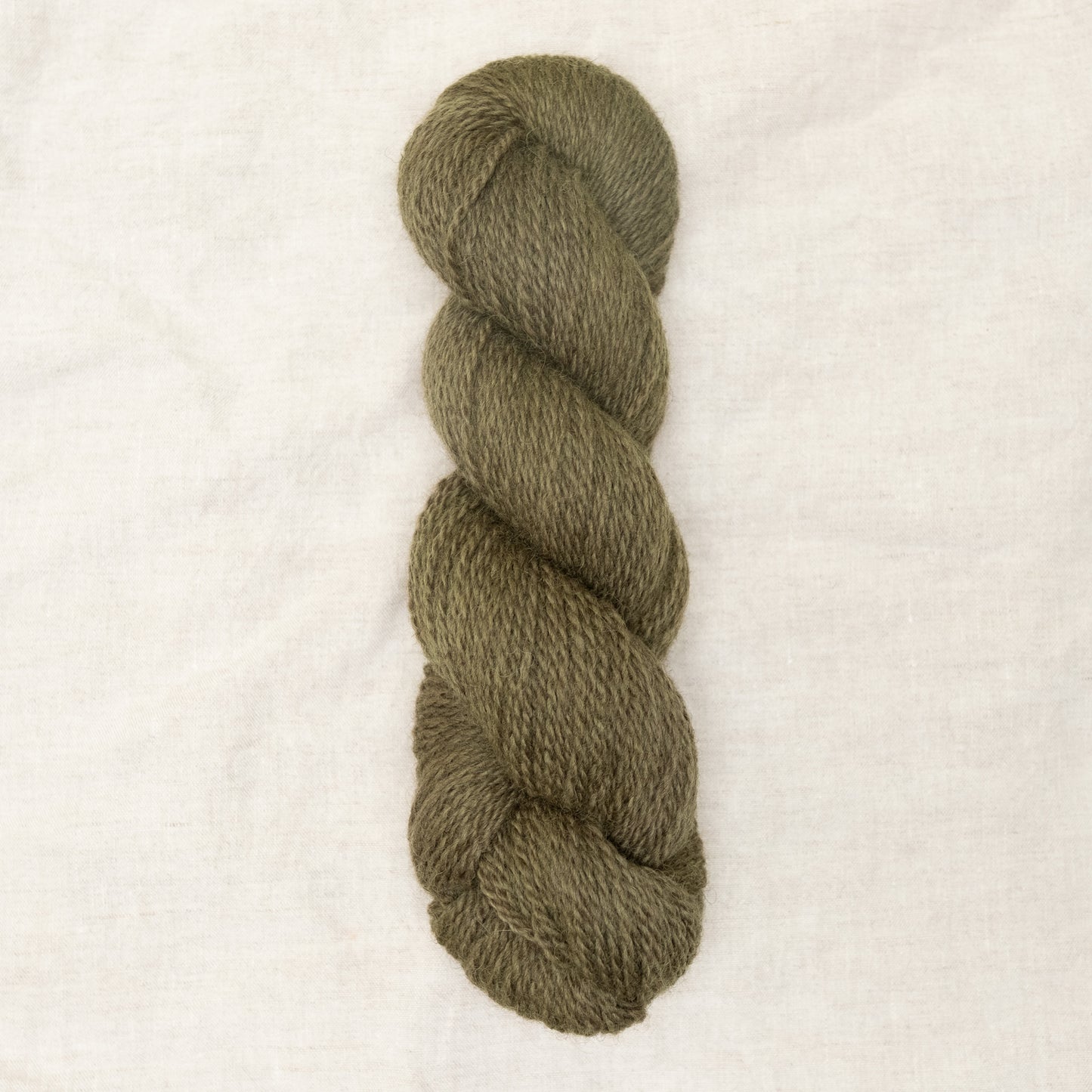 BFL/Romney DK - Moss