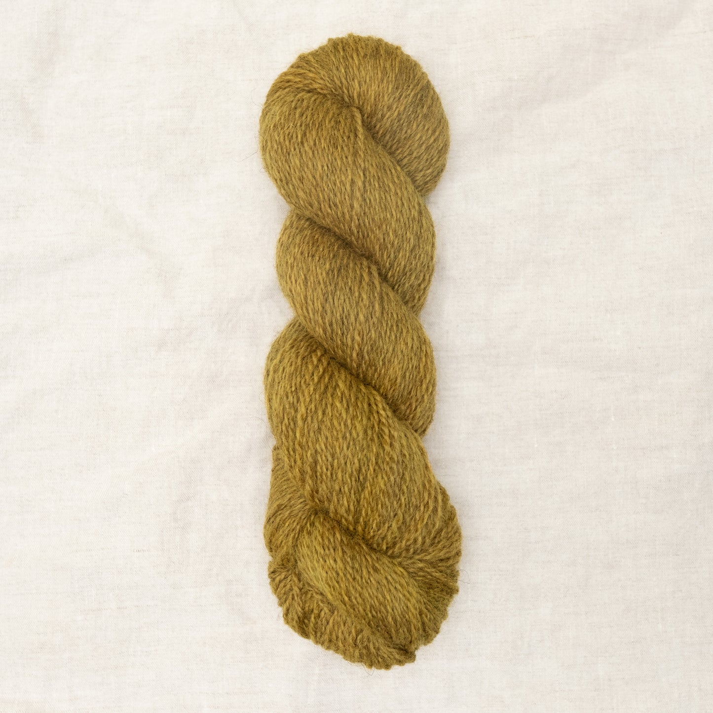 BFL/Romney DK - Golden Hour