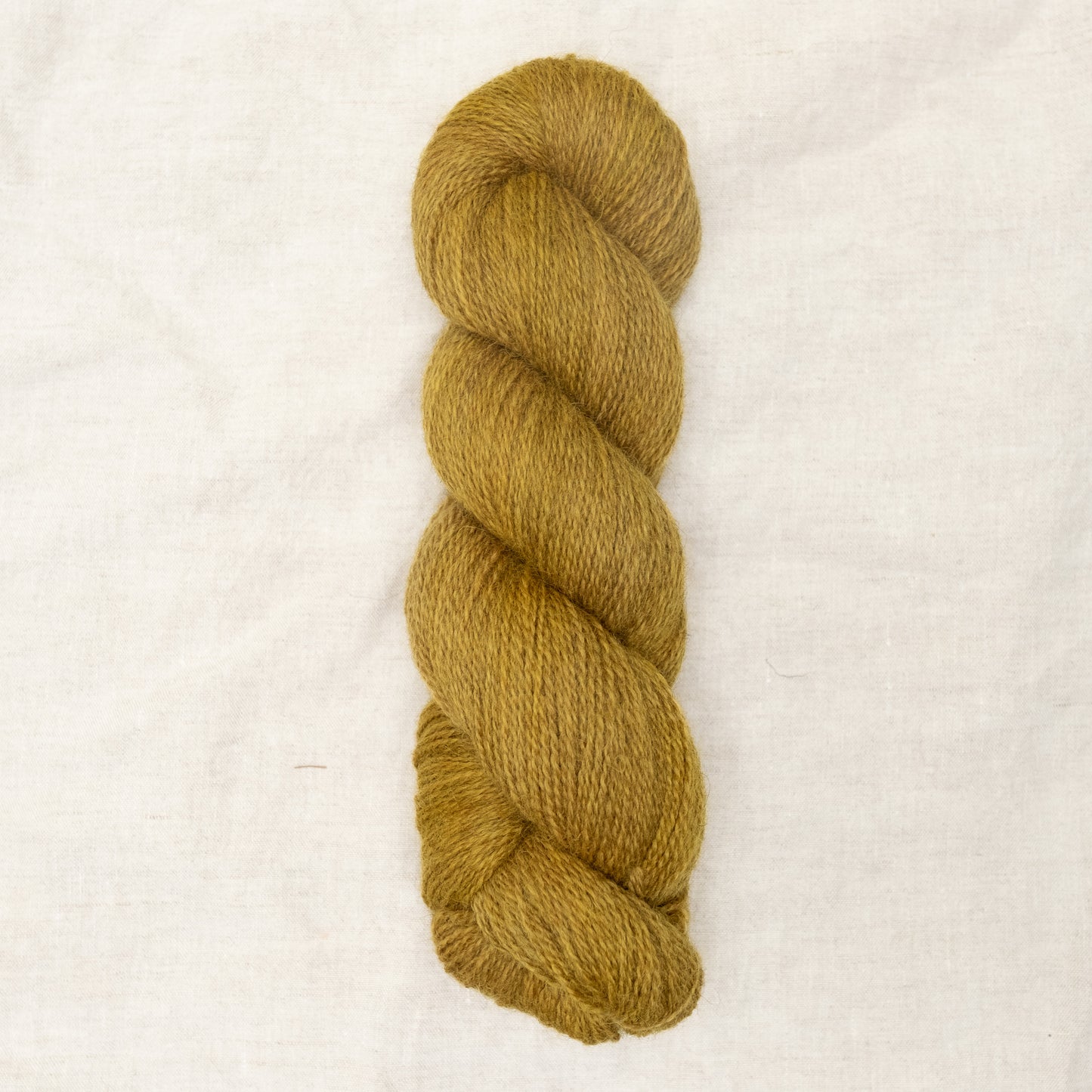 BFL/Romney 4ply - Golden Hour