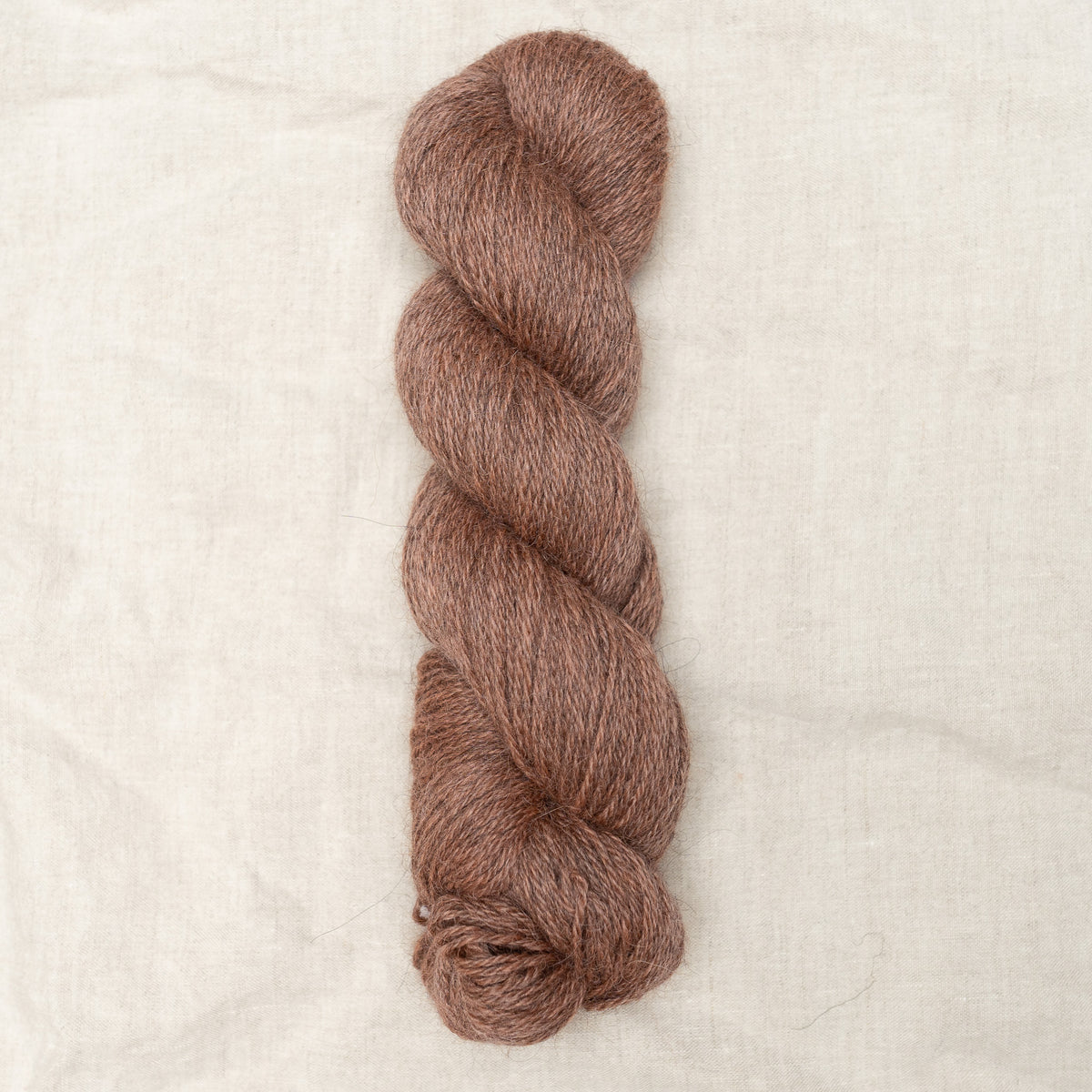Shore DK -  Primrose