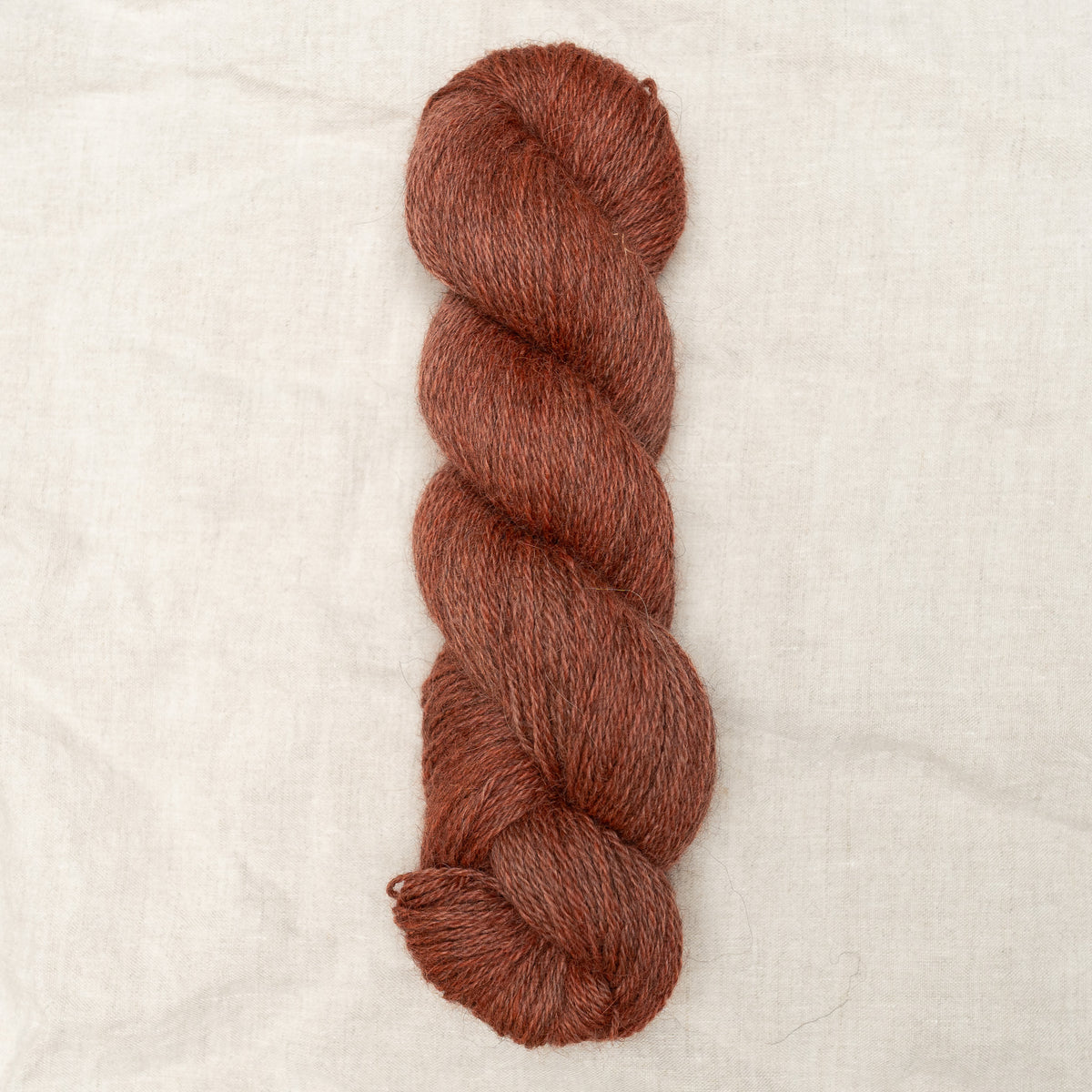 Shore DK -  Dahlia