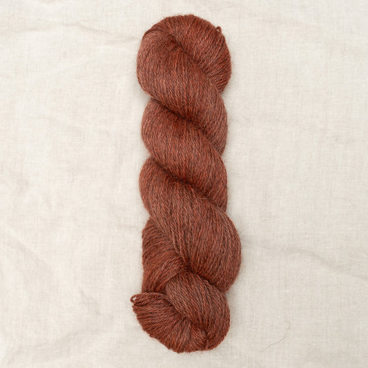 Shore DK -  Dahlia