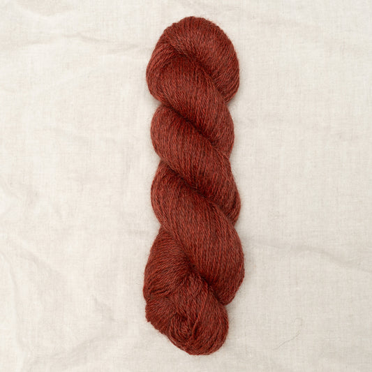 Shore DK -  Poppy