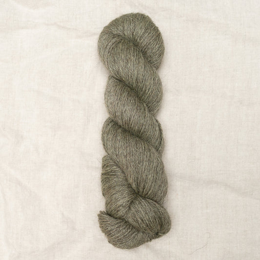 Shore DK -  Eucalyptus