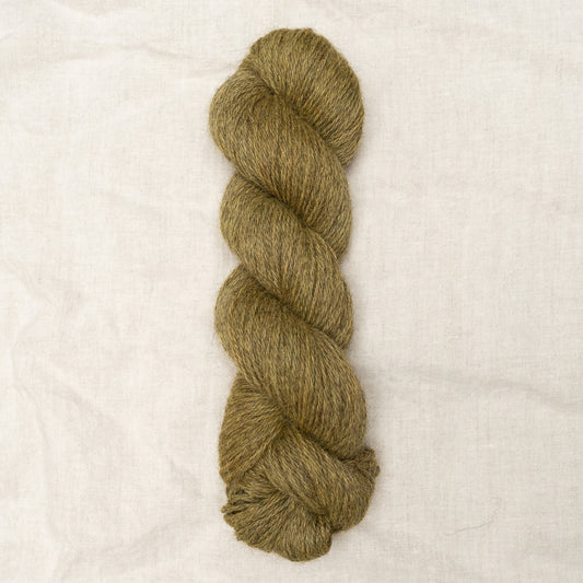 Shore DK -  Bracken