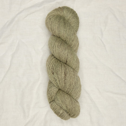 Solace Sport - Reed