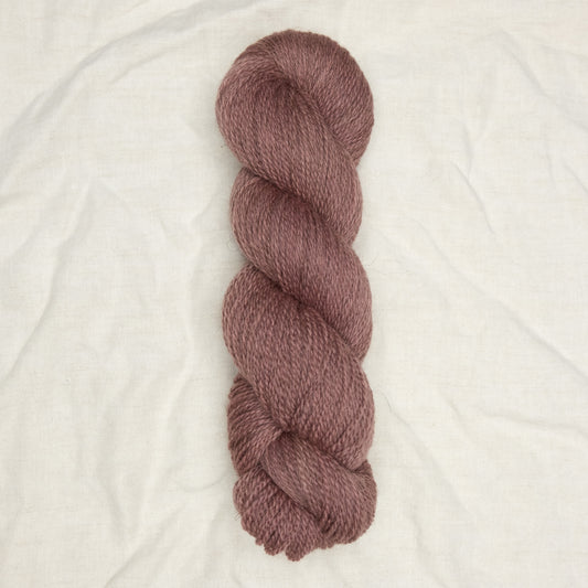 Solace Sport - Viola