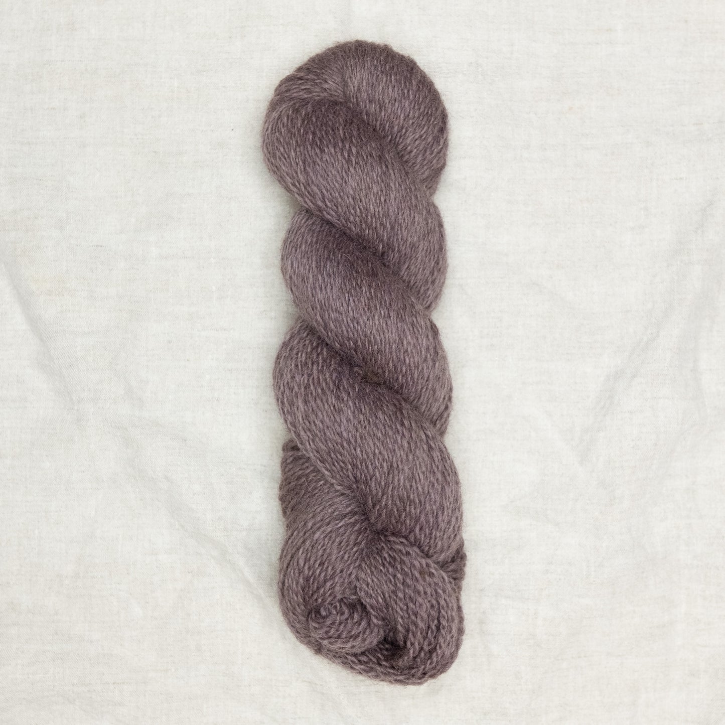 BFL/Romney DK -  Amethyst
