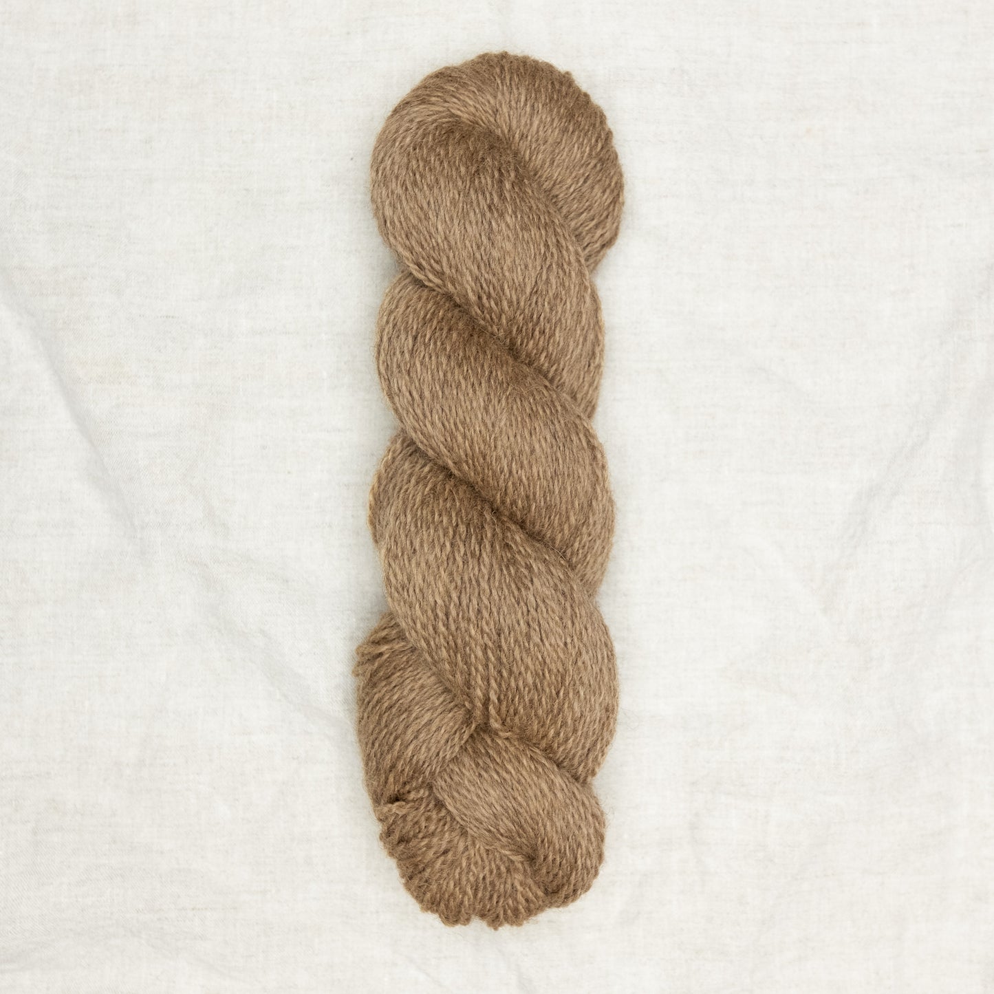 BFL/Romney DK -  Oat