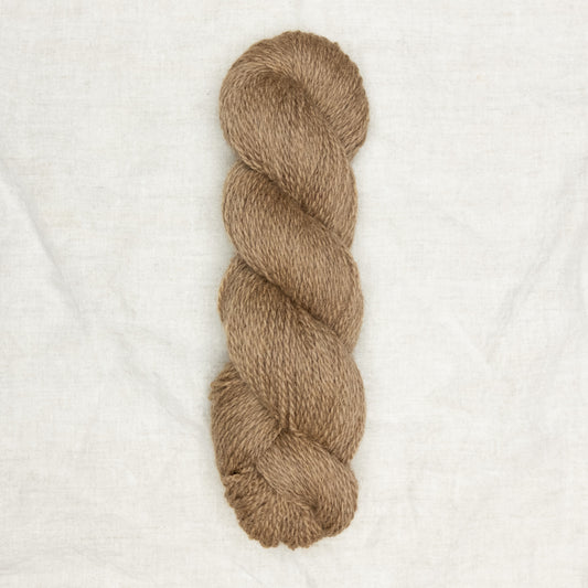BFL/Romney DK -  Oat