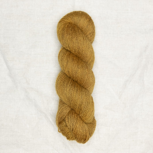 BFL/Romney 4ply - Goldenrod