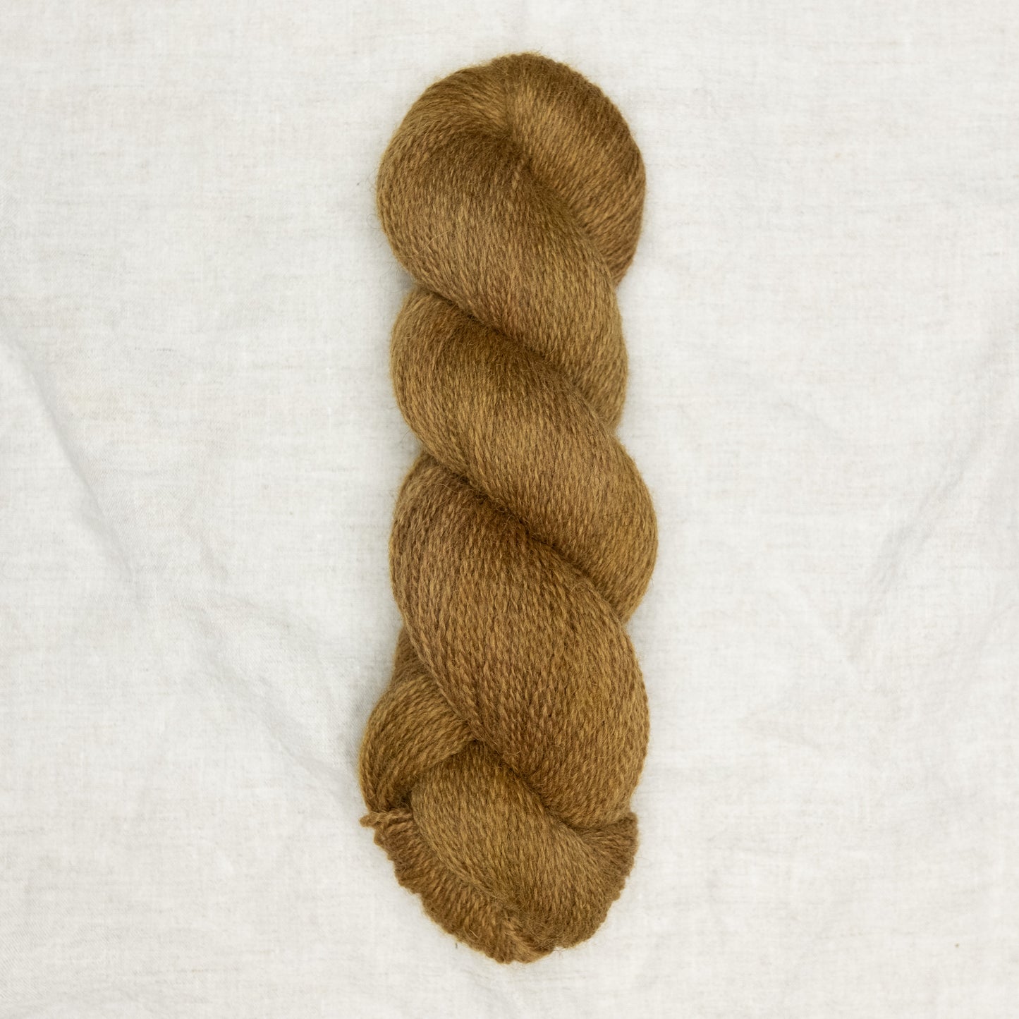 BFL/Romney 4ply - Brass