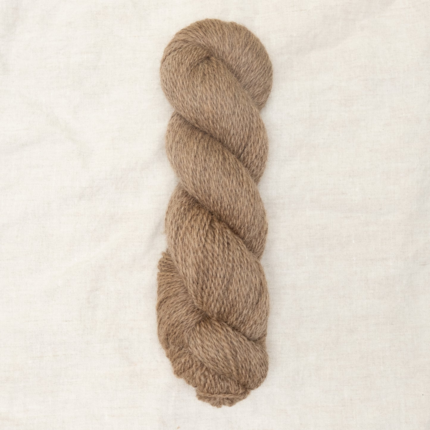 BFL/Romney DK -  Almond