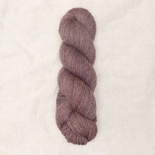 BFL/Romney DK -  Lilac