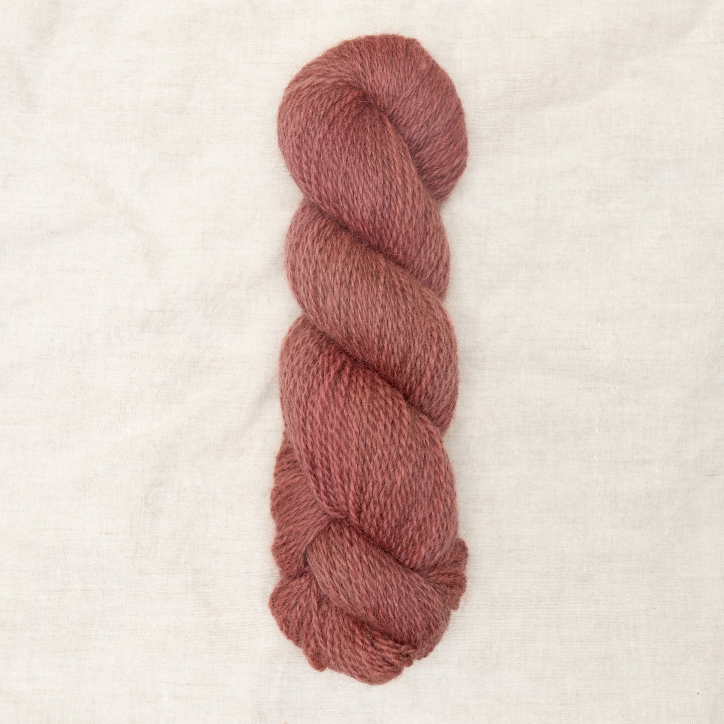 BFL/Romney DK -  Dogwood