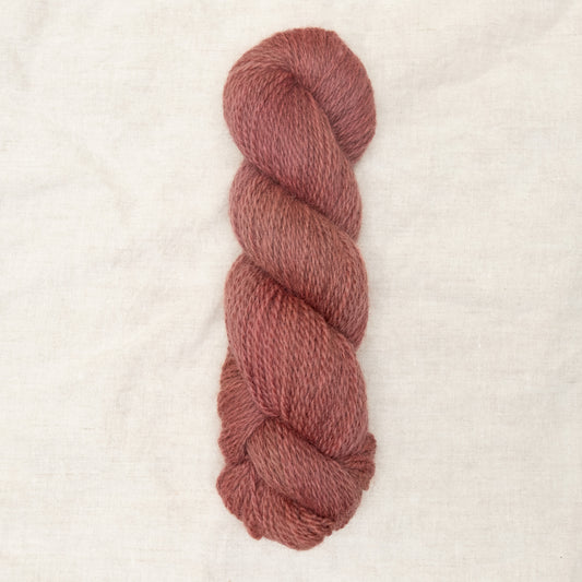 BFL/Romney DK -  Dogwood
