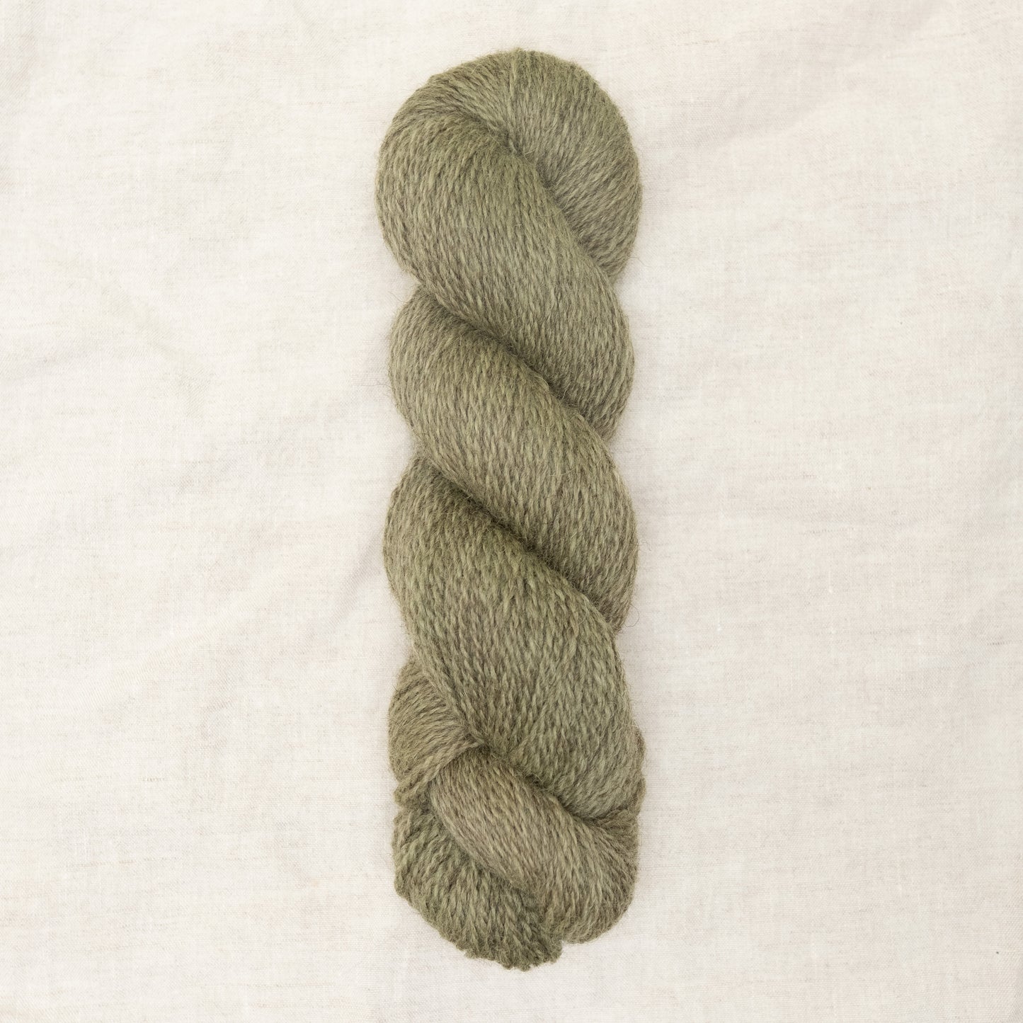 BFL/Romney DK -  Artichoke