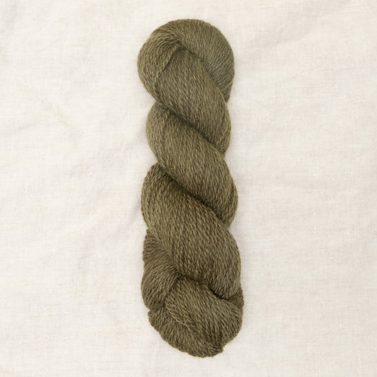 BFL/Romney DK -  Moss