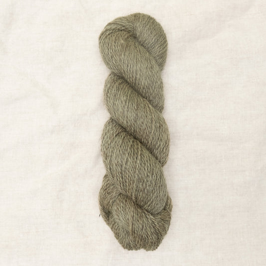 BFL/Romney DK -  Thistle