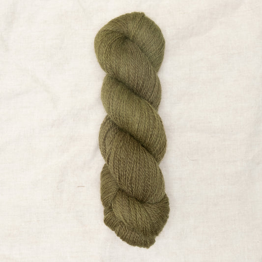 BFL/Romney 4ply - Moss