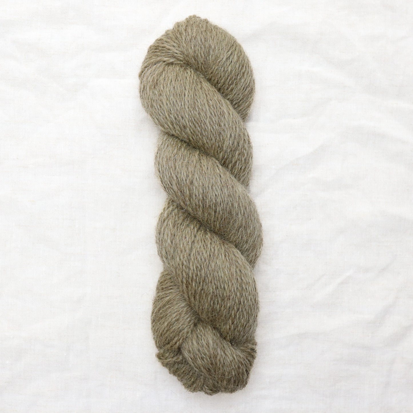 BFL/Romney DK -  Eucalyptus