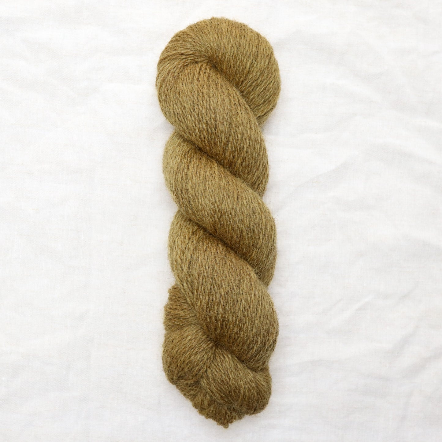 BFL/Romney DK -  Antique