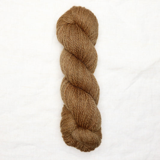 BFL/Romney DK -  Bark