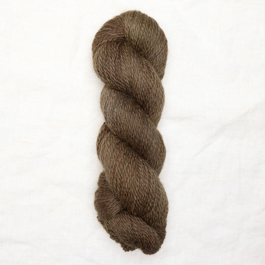 BFL/Romney DK -  Chocolate