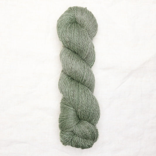 BFL/Romney DK -  Avocado