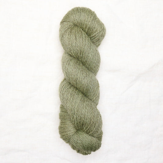 BFL/Romney DK -  Pistachio