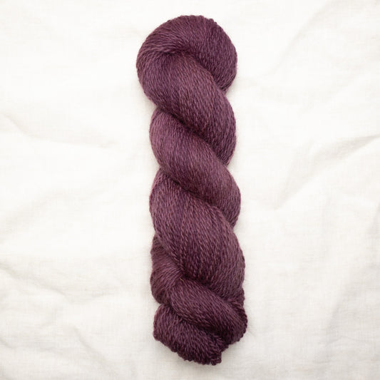 BFL/Romney DK -  Berry Jam