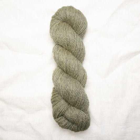 BFL/Romney DK -  Fennel