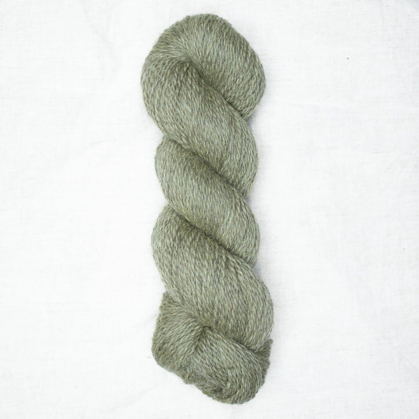 BFL/Romney DK -  Oakmoss