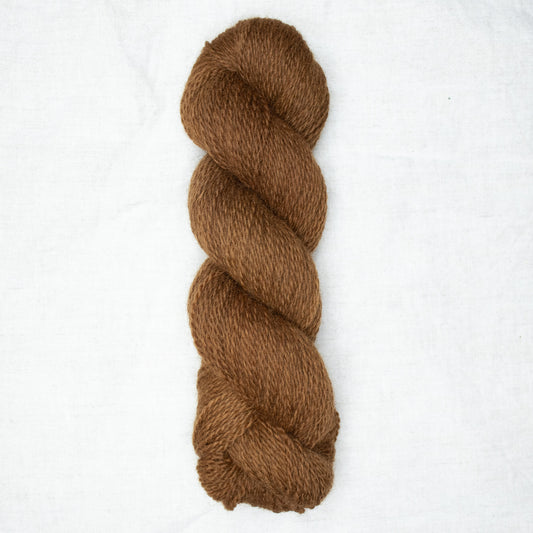 BFL/Romney DK -  Bark