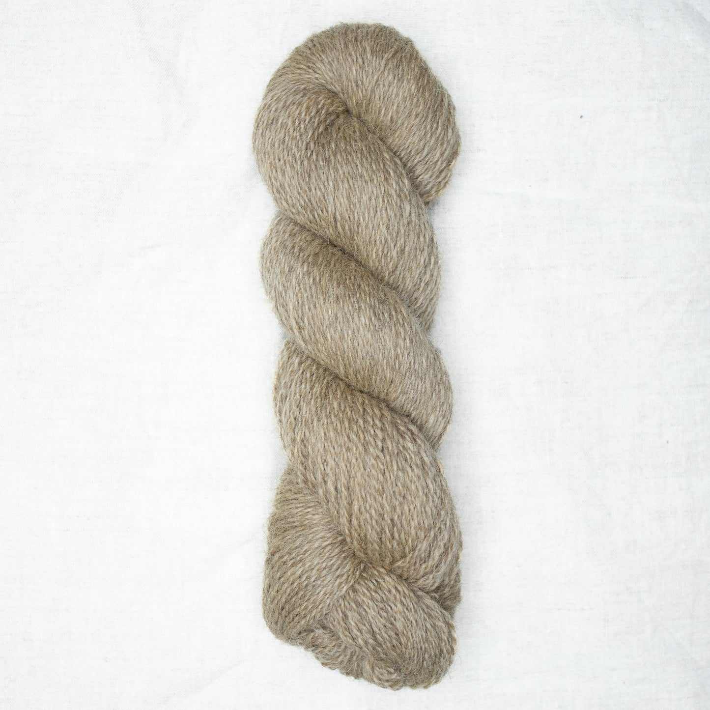 BFL/Romney DK -  Almond