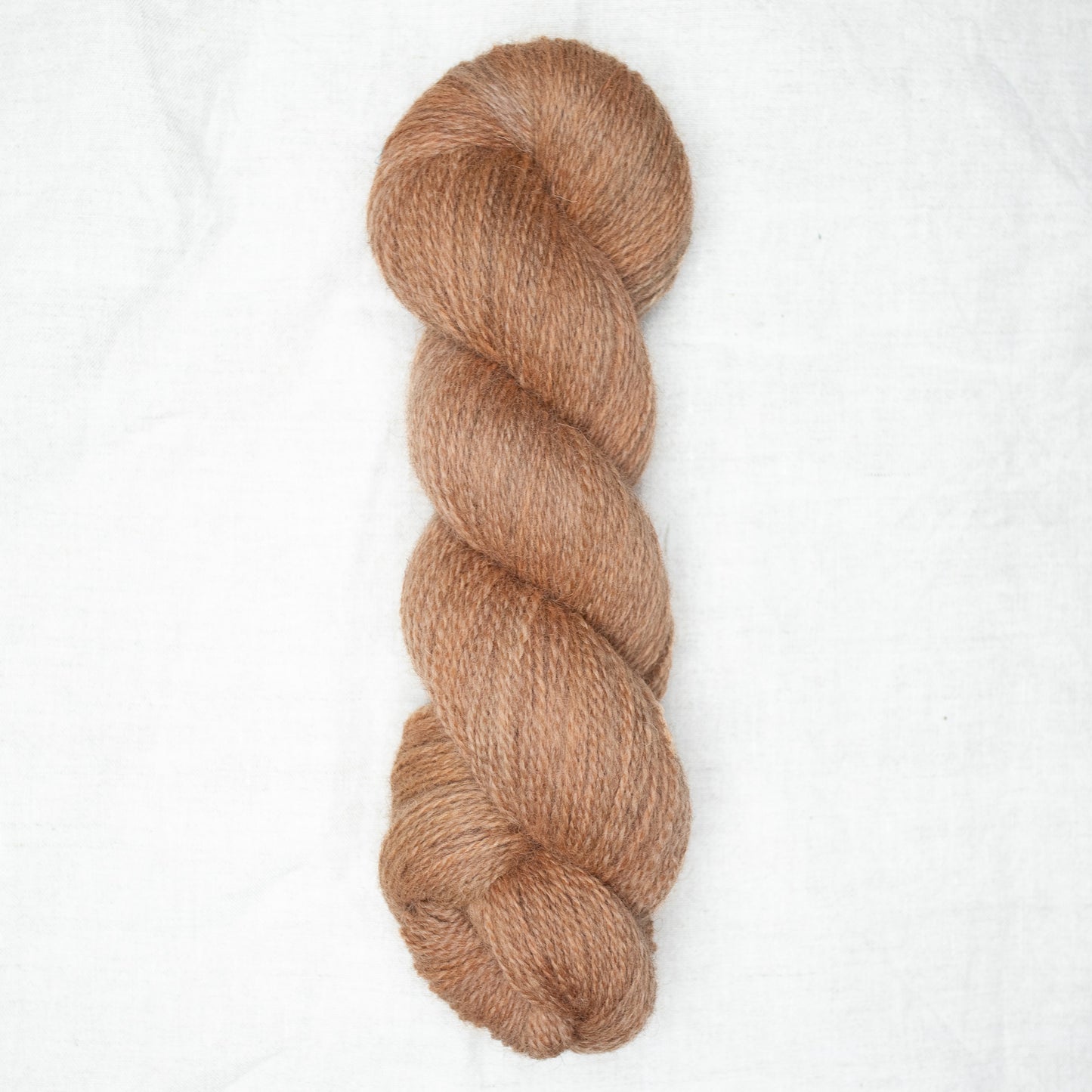 BFL/Romney 4ply - Fawn