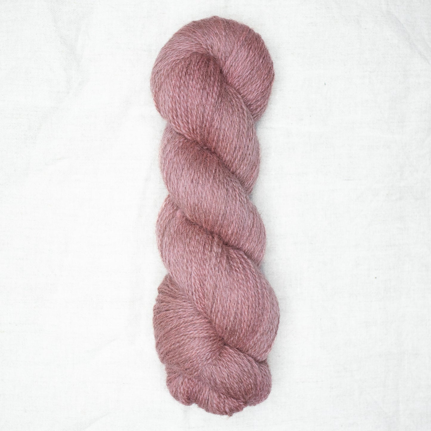 BFL/Romney 4ply - Camellia