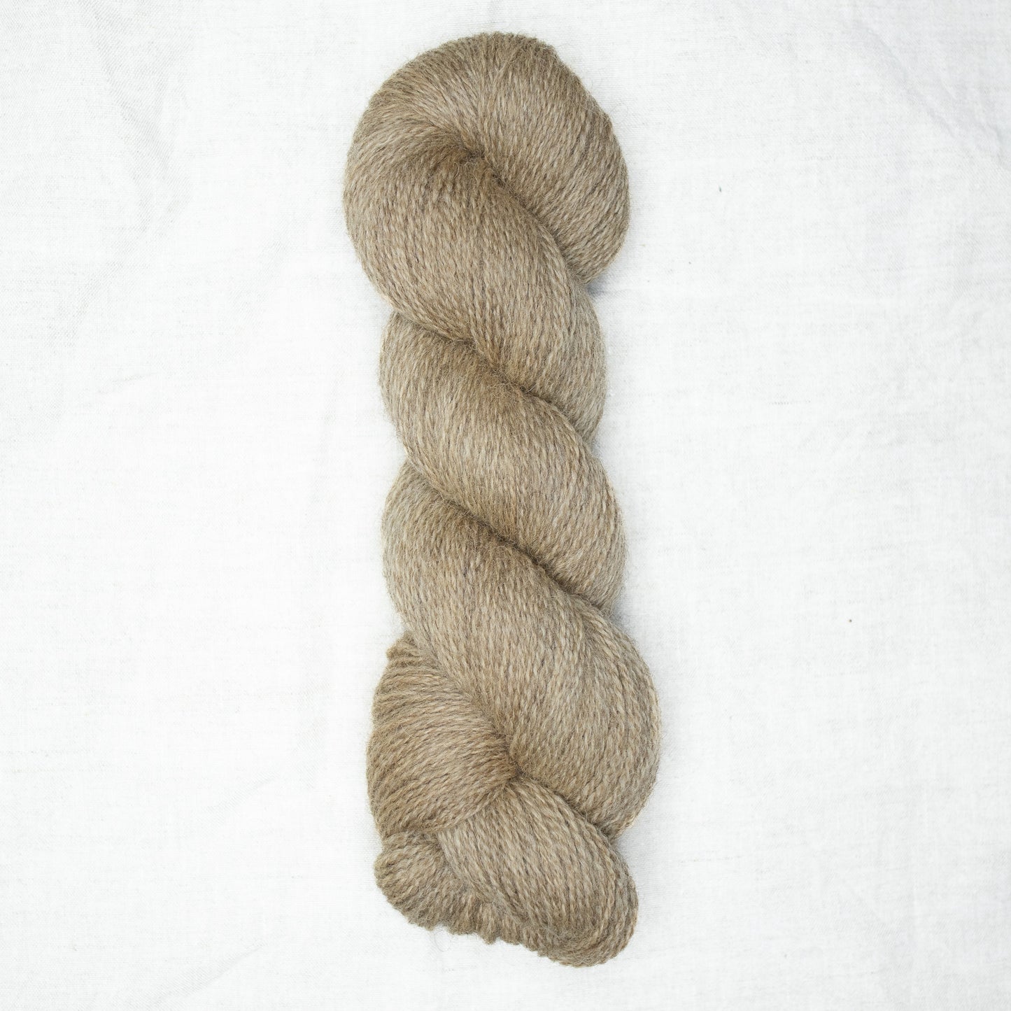 BFL/Romney 4ply - Almond